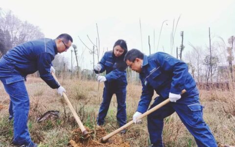 南方电网贵阳修文供电局举办“青春添绿意·团心筑未来”植树节活动