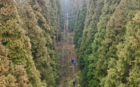 南方电网贵阳修文供电局：“人巡+机巡”防山火