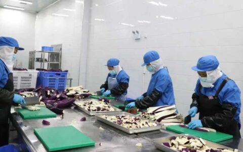 【奋进修文】贵阳农产品物流园鲜冻蔬菜加工项目投产