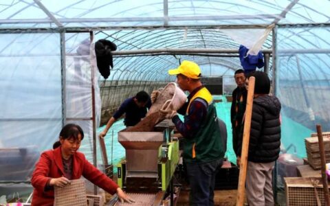 【奋进的春天】修文县：机械集中育秧 助力春耕生产