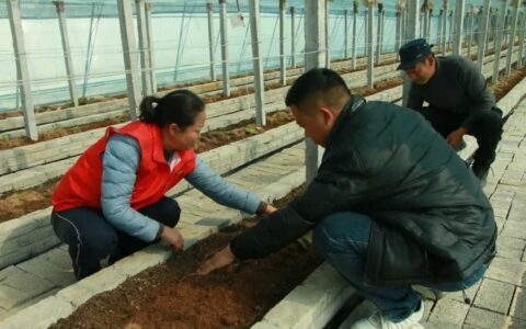 全省首个香荚兰设施种植基地落户修文县程官村
