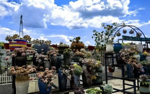 【排队抓尾·奋进修文】修文县阳明洞街道幸福村：乡村旅居激活“幸福”密码 走出乡村振兴新路径