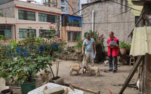 修文县景阳街道新园社区开展“养犬先登记，遛狗不掉链”排查工作