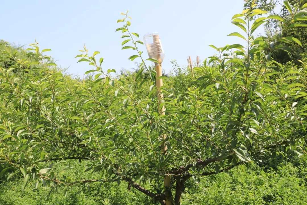 3.2.jpg 修文县六桶镇:变废为宝推进种养循环