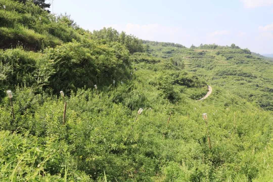 3.4.jpg 修文县六桶镇:变废为宝推进种养循环