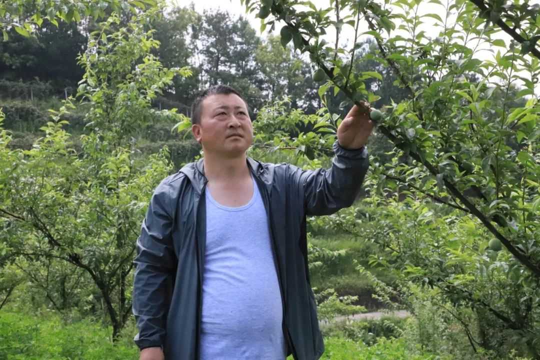3.5.jpg 修文县六桶镇:变废为宝推进种养循环