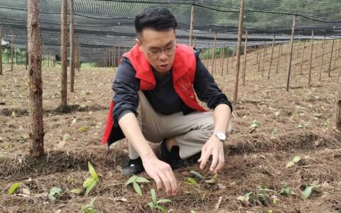 修文县谷堡镇平寨村：试种中药材 拓宽增收路