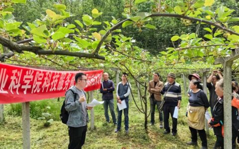 省农科院专家团队赴修文县小箐镇崇恩村开展猕猴桃产业技术培训
