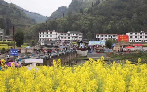 修文县龙场街道开展2025年“花绽春野·寻芳沙溪”文旅活动