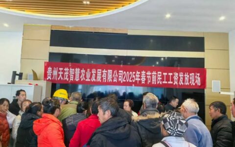 修文县洒坪镇： 年底喜发薪 让农民工安“薪”不忧“酬”