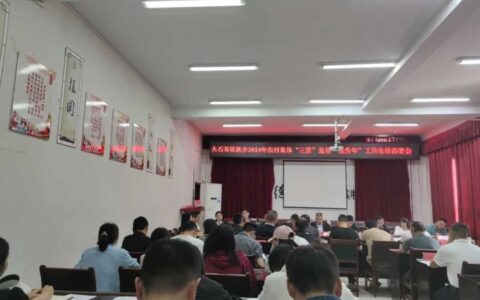 修文县大石布依族乡：聚焦农村集体“三资”监管 提升突出问题整改成效
