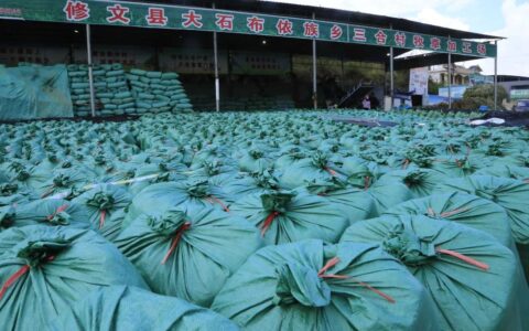 修文县大石布依族乡三合村：牧草加工助力乡村振兴