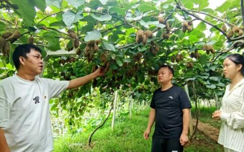 修文县索桥村：传承红色基因 推进农文旅融合