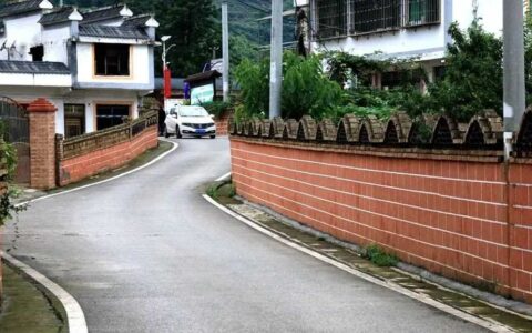 修文县谷堡镇平寨村：党建引领 “四抓四提”实现华丽蝶变