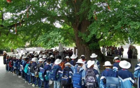 【乡镇风采】修文县大木村开发“研学经济”推进文旅融合