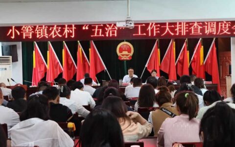 小箐镇：党群一心聚焦“五治”排查 同向发力共创幸福生活
