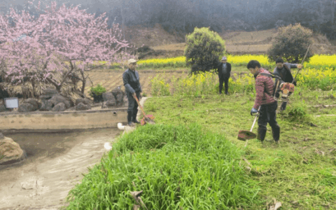 修文县大石布依族乡高丰村：污水治理助力提升乡村“绿色颜值”