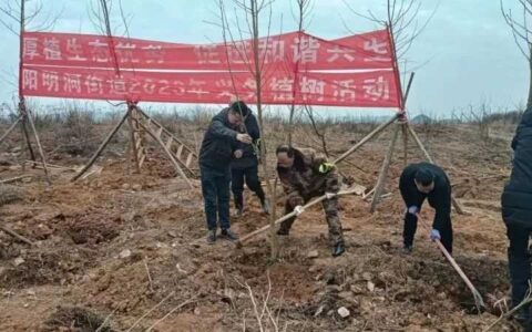 修文县各乡（镇、街道）开展义务植树活动